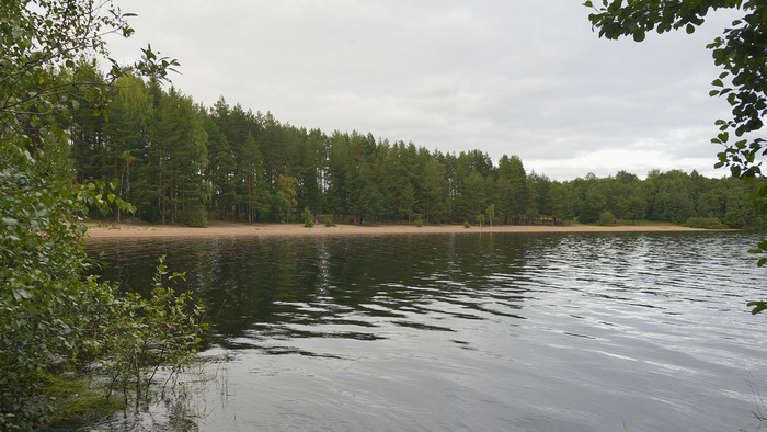 ����� ��������