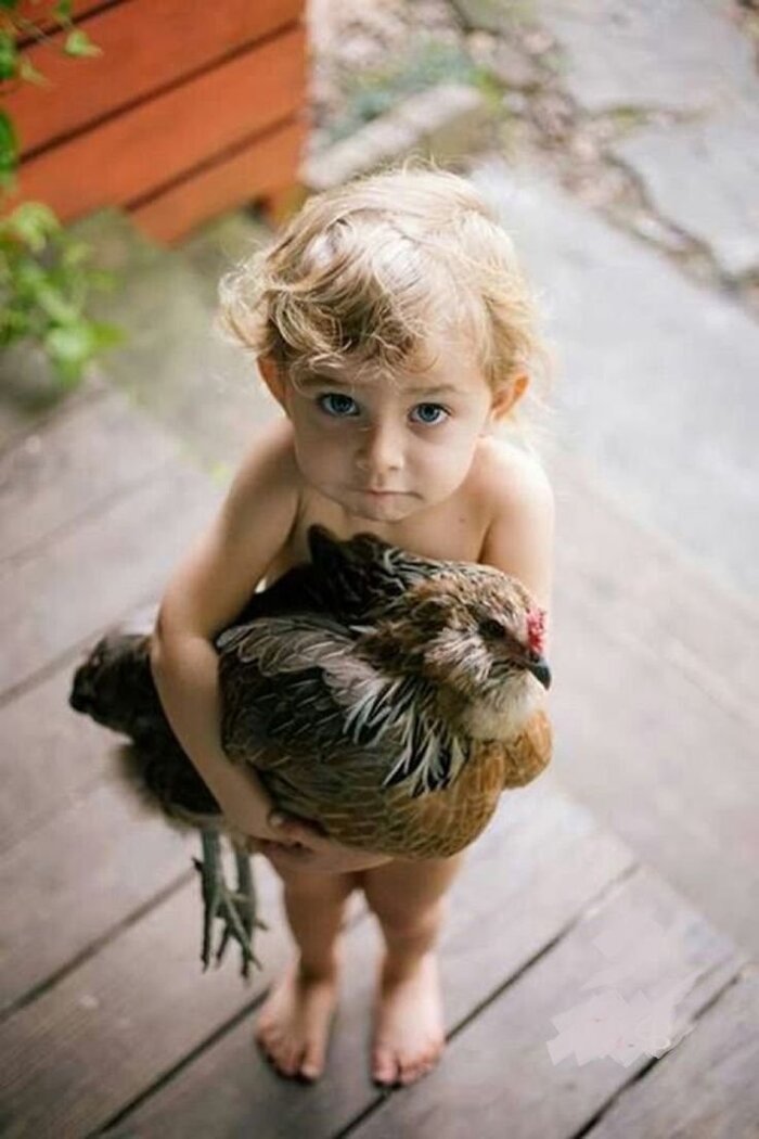 Настоящие друзья