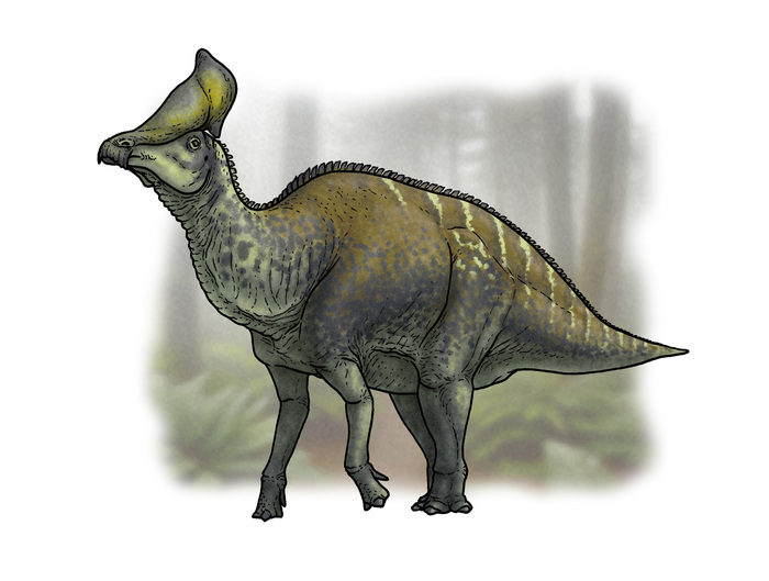 Olorotitan arharensis