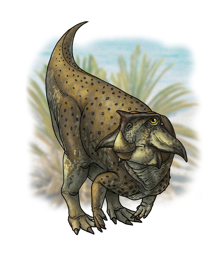 Psittacosaurus sibiricus