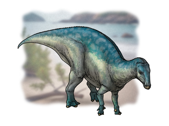 Riabininohadros weberae