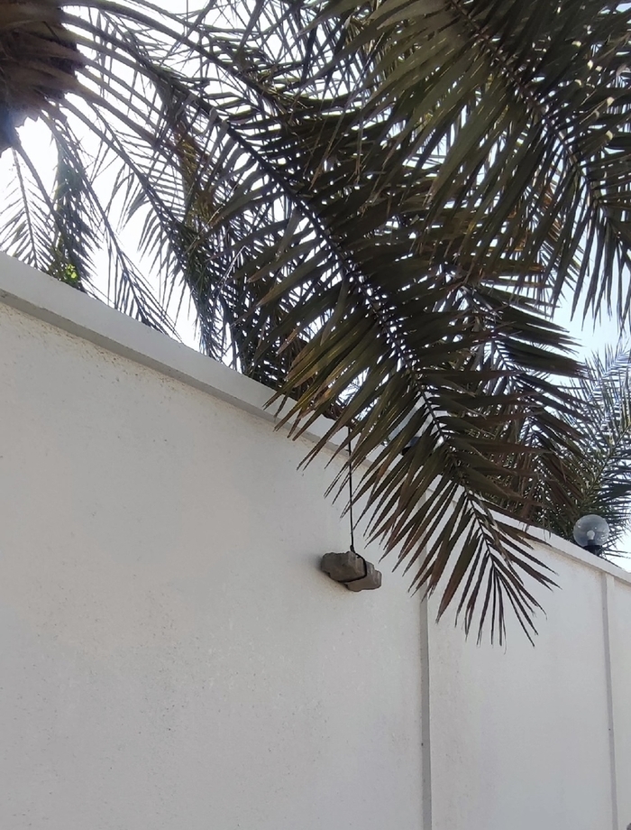 ��������, ������!