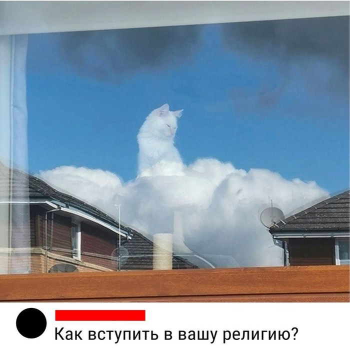 <!--noindex--><a href="https://pikabu.ru/story/pervaya_igrovaya_blagotvoritelnaya_gildiya_v_pomoshch_bezdomnyim_kotikam_i_ne_tolko___10784538?u=https%3A%2F%2Fdiscord.gg%2F5ERnnyj52w&t=https%3A%2F%2Fdiscord.gg%2F5ERnnyj52w&h=1981d5d2bcd42f2b1bfaf77d3d6d06d49e19743c" title="https://discord.gg/5ERnnyj52w" target="_blank" rel="nofollow noopener">https://discord.gg/5ERnnyj52w</a><!--/noindex-->