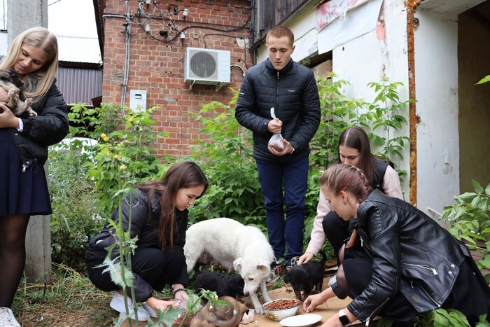 ������� ������ ���