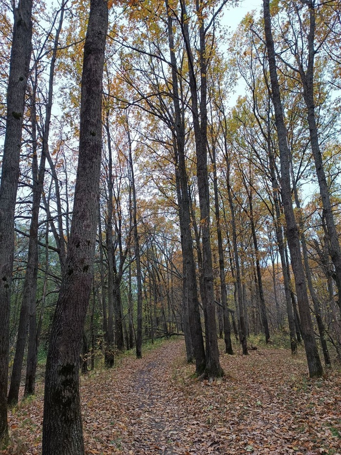 Когда листва на месте, действительно красивая :)
