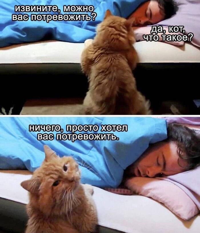 ������ ���� ���� � ����