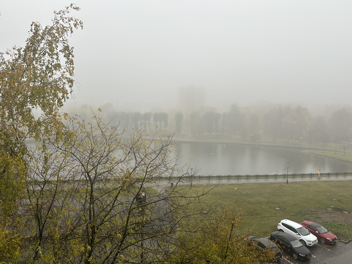 Утро туманное