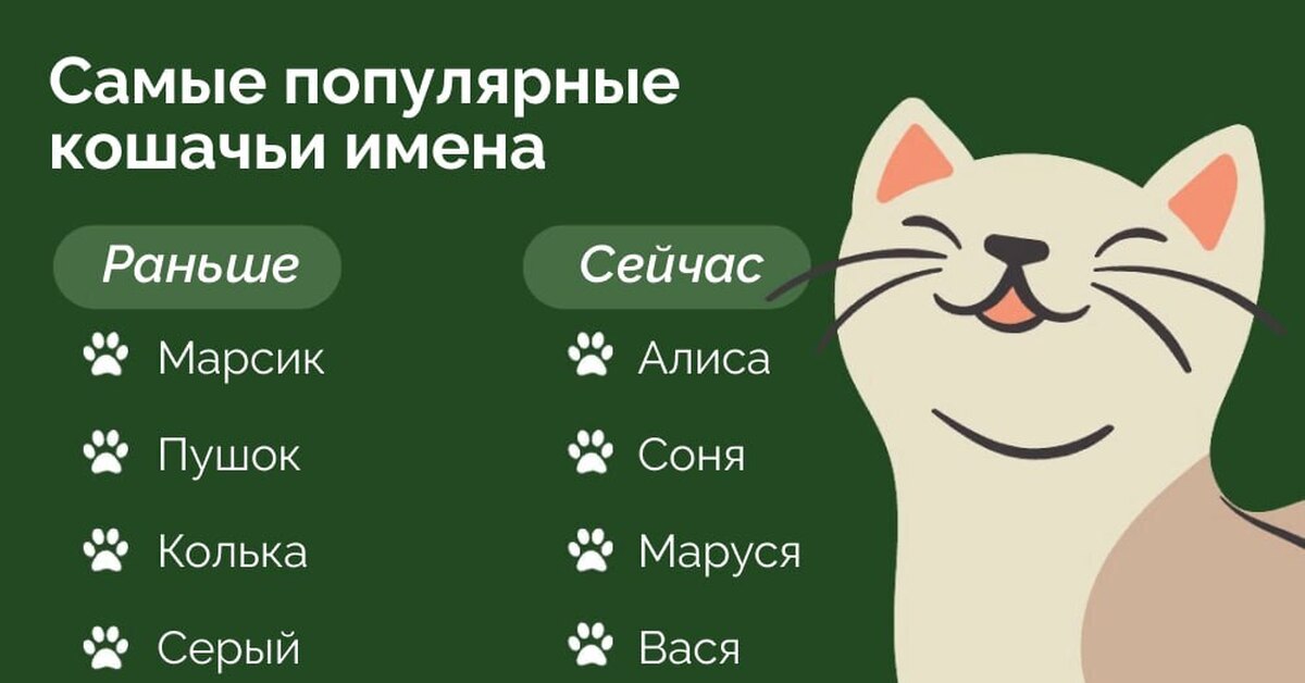 Смешные имена для котов