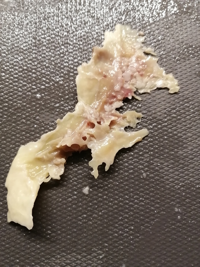 Поел, блин, курочки... Еда, Питание, Курица, Плохое качество, Длиннопост