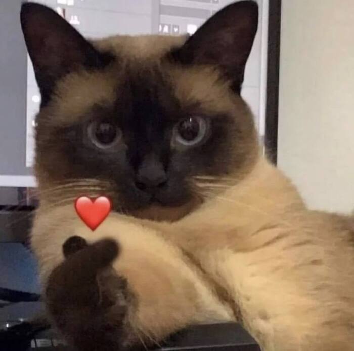 ��������� �������, ���� � �������!