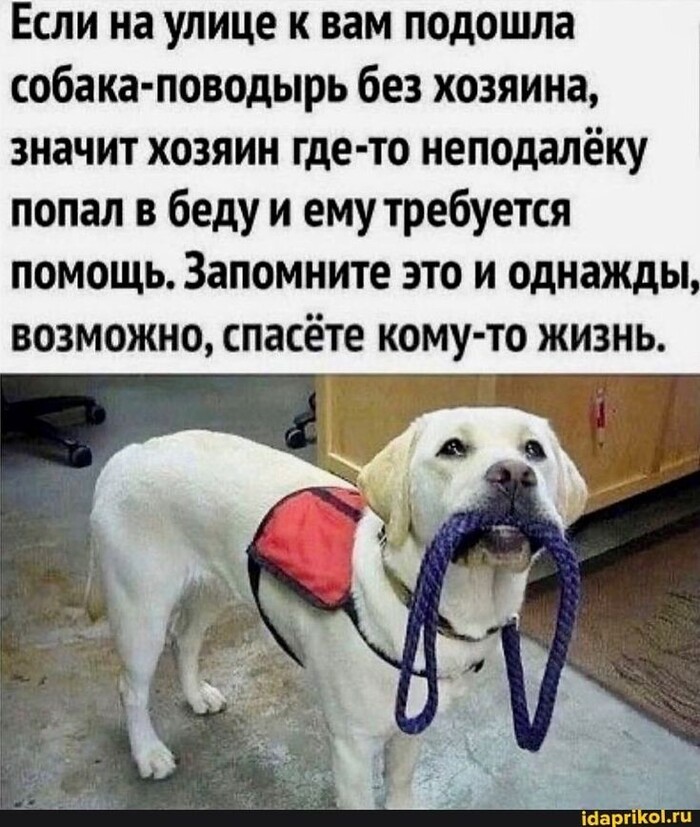 Помогите пожалуйста!