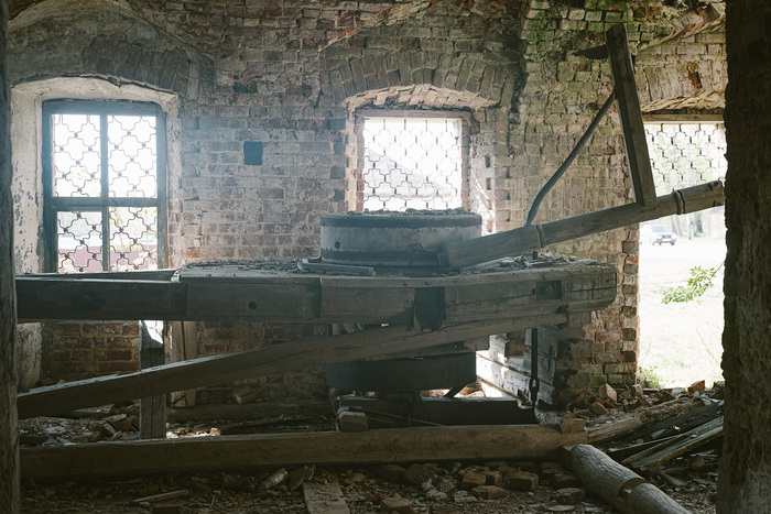 � ���� ���� �������