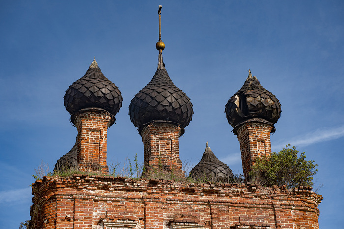 ���������� �������� ����������� ���������