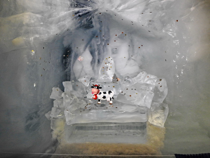 Ну как-же без символа Швейцарии? Черные точки - монетки вплавленные в лед.
Где-то среди них и мой шекель. А сфотографировать забыл.