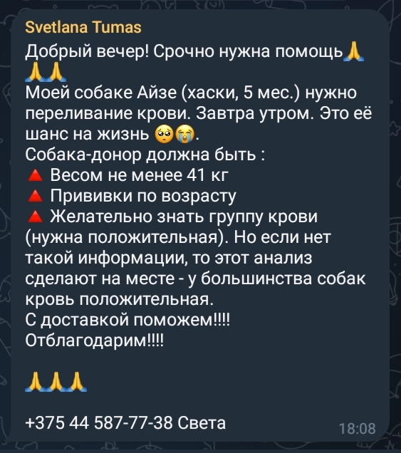 ��������! ������ �����. � ������� ��������� ������.  ����� �����. ������ (26.10)  ����������� �����. ����� ���-�� ������ ������. ������� � ��������. ��� ��������.  ��������� ���������!