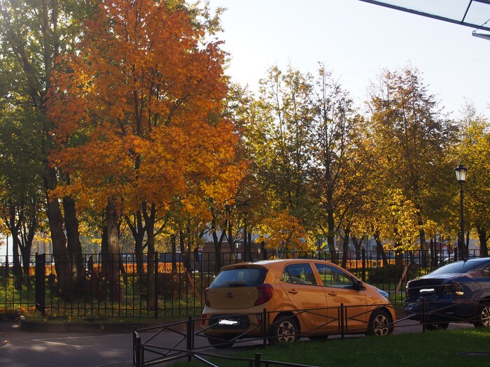 11000 �� �� Kia Picanto �����-��������� - ����� - �����-���������