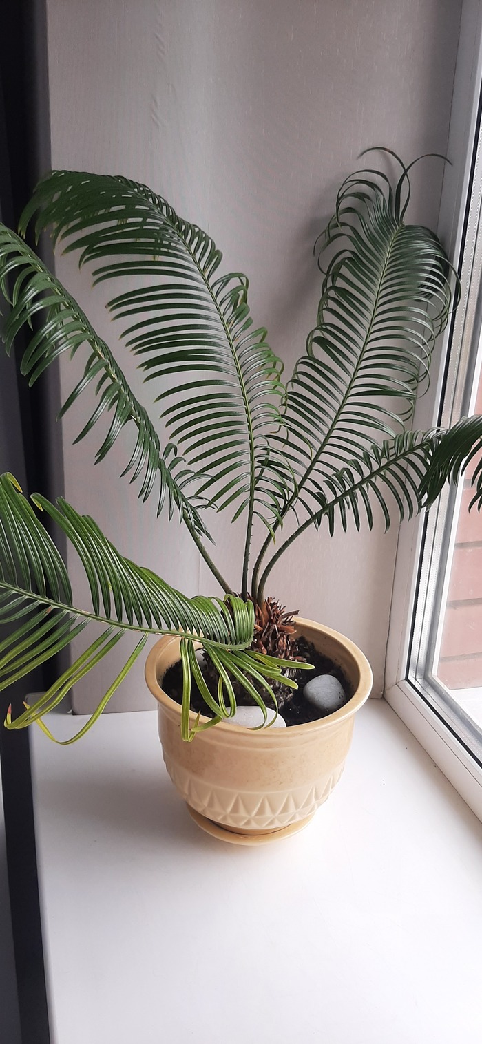 .        .   ,     2   ,  ,   .           .  ,    .