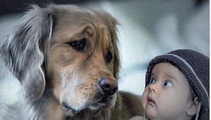 ������ ���� �������