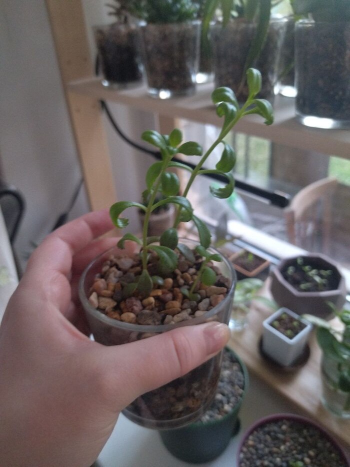 4. �������� � �����