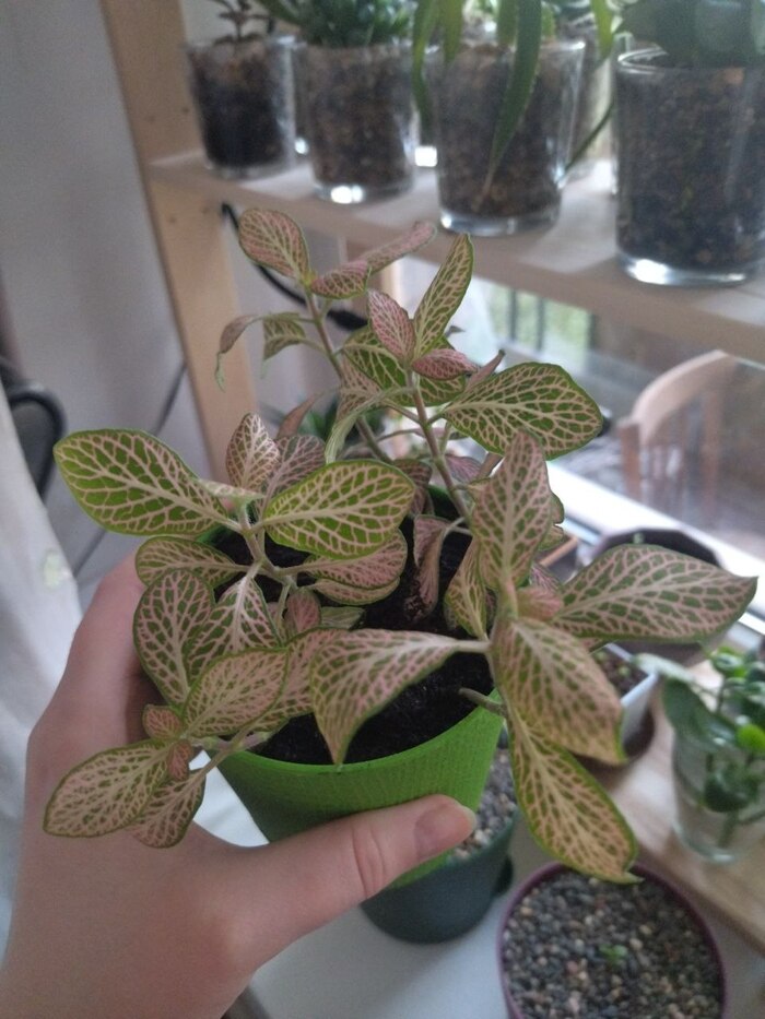 6. �� ��������