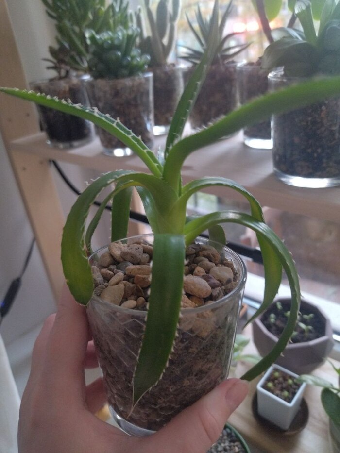 8. �������� �� �������� (������, � ���� ������-�� ������ ��������� ������, �� �� ���)