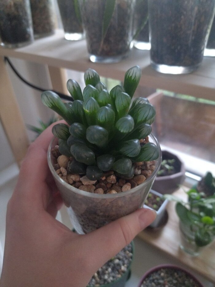 9. �������� ����������