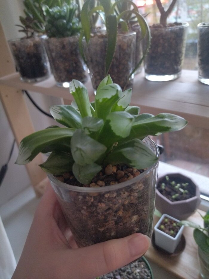 10. �������� "�������� ������"