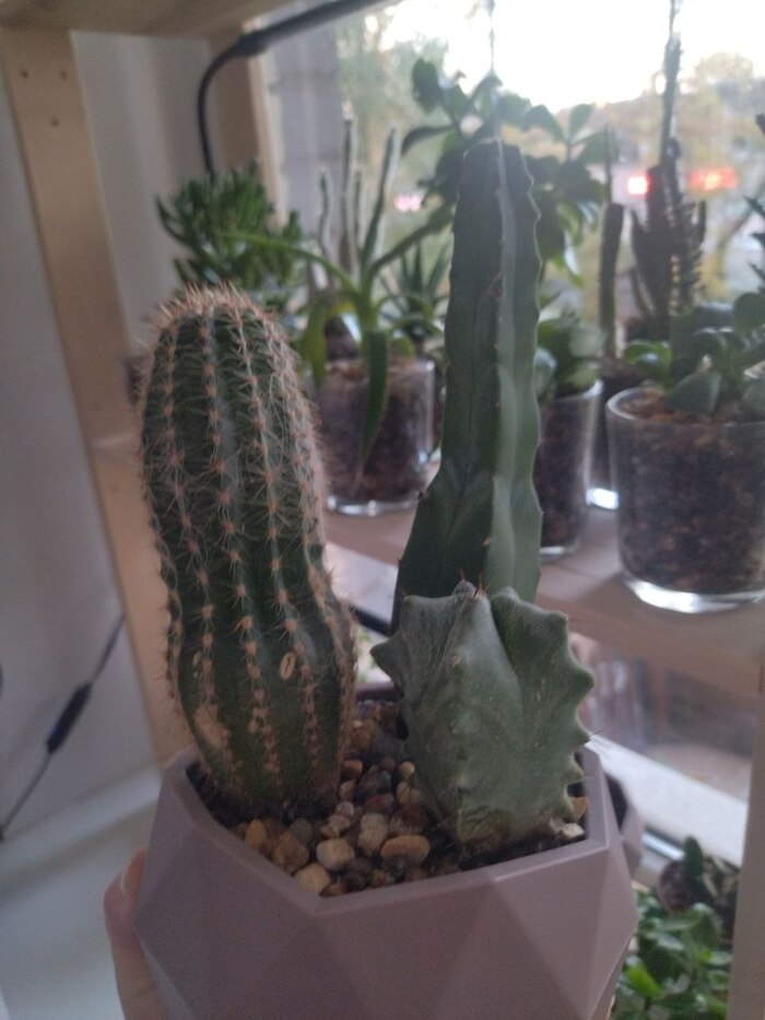 11. ��������� ����������. �������� ������� �������, ������� �� ��� ����� � ������� � ����������.