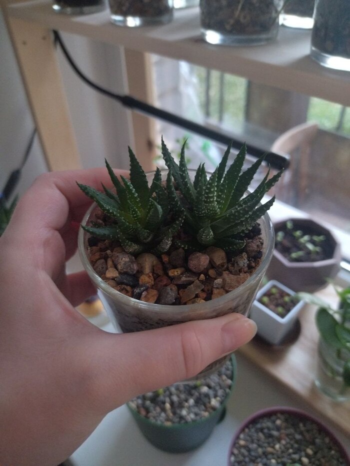 15. �������� �� �������