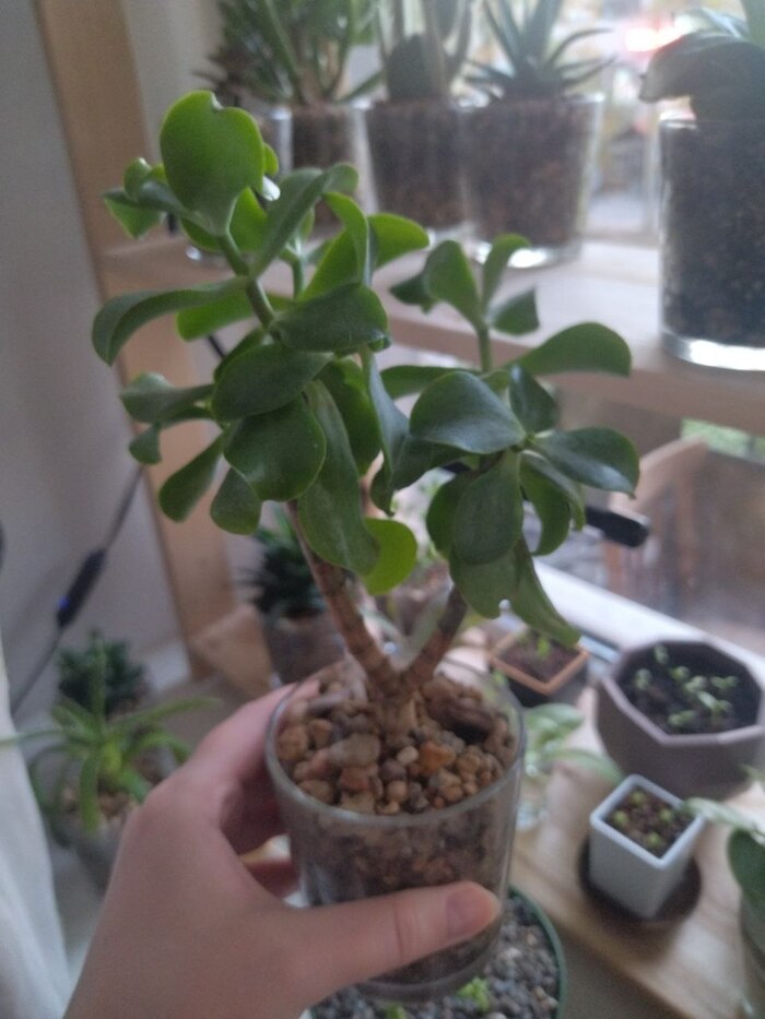 16. �������� ���������