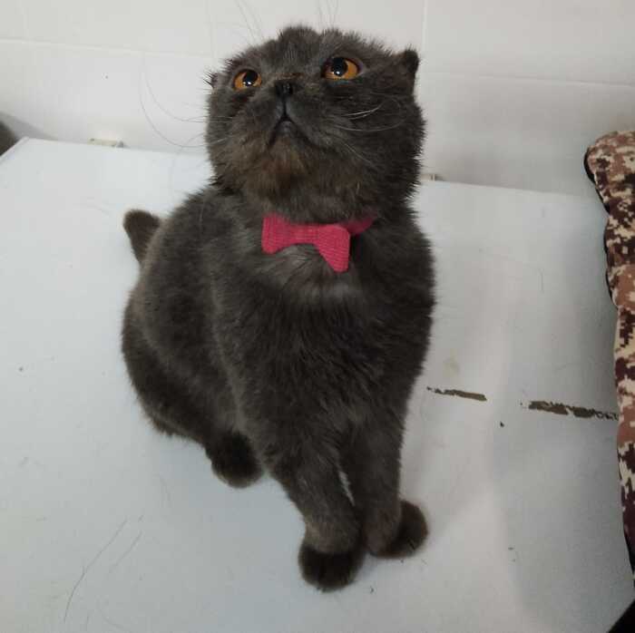 ���� ����� ����� �� ���������, �� ��������? ���� ��� ������ ��������� ���������, ������, ��