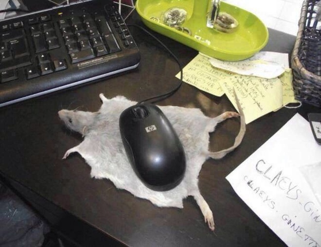 Неувядаемая классика