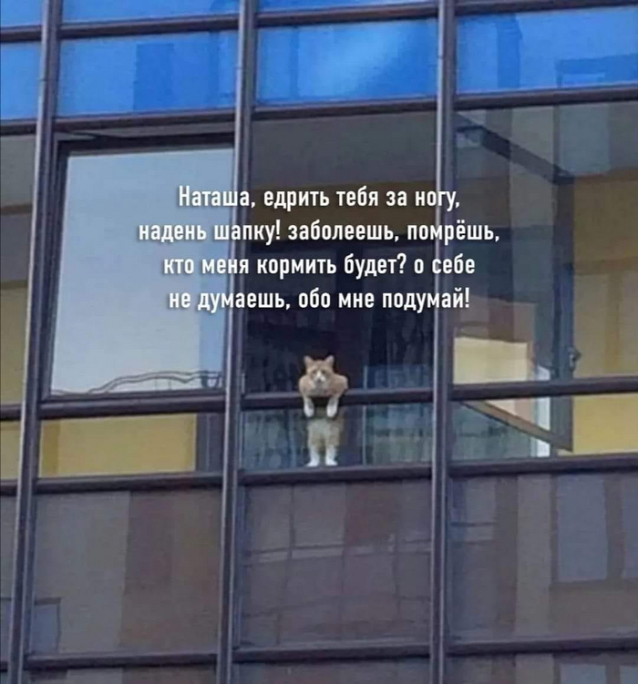  ,   , , , 