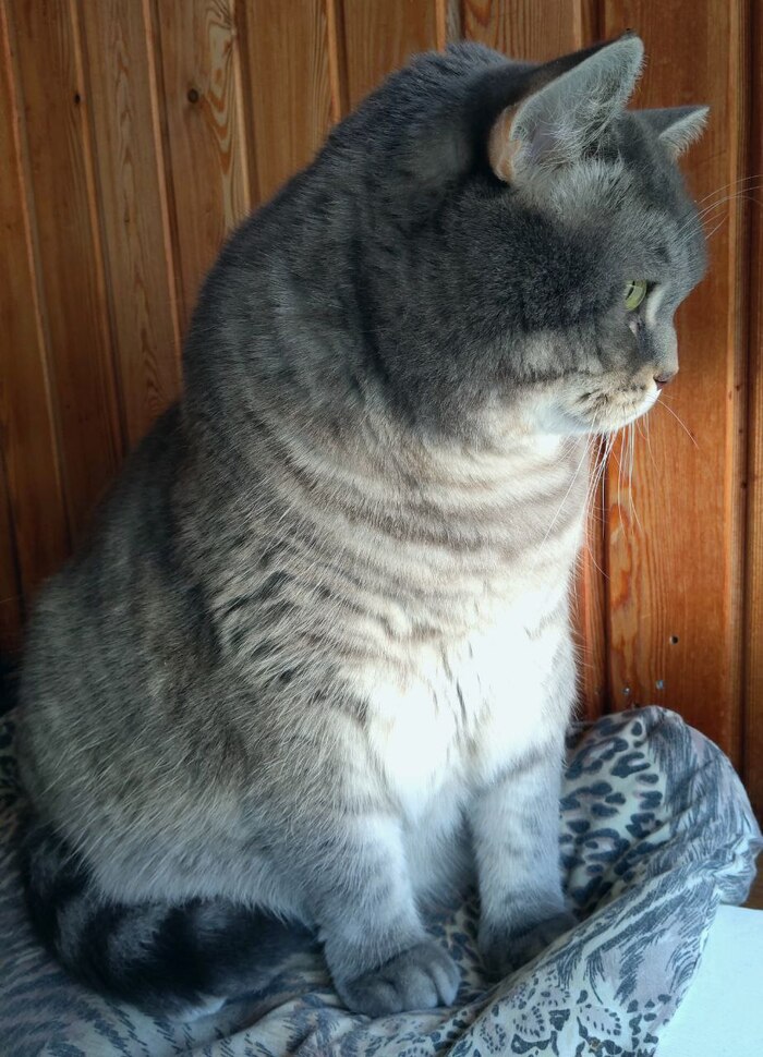 ����� ��������� �� �����