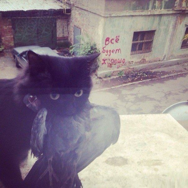 Всё будет хорошо!