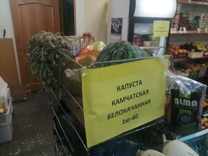 Фото на ходу