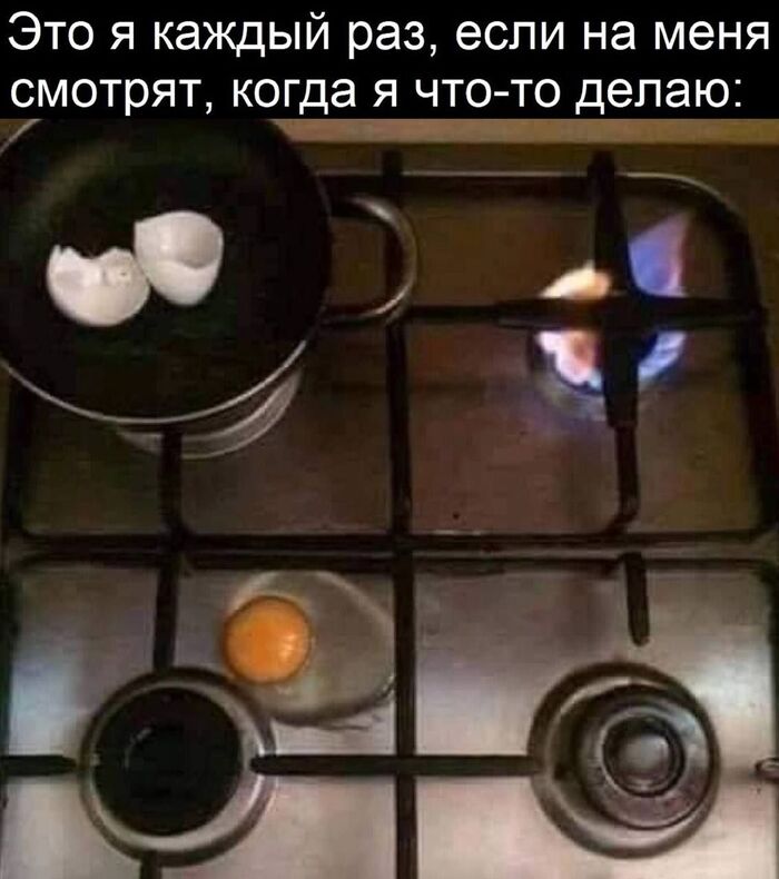  ,   , , Telegram ()