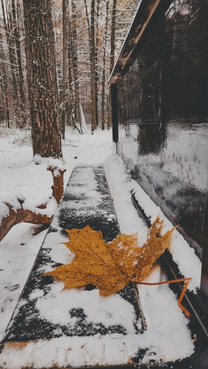 ������ ����