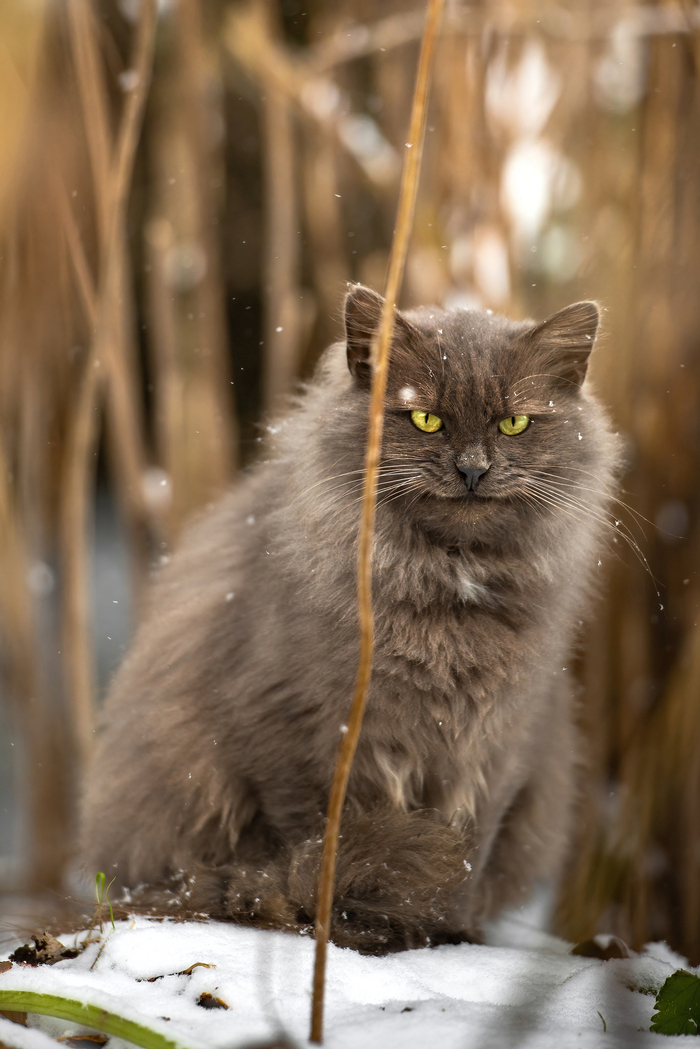  , , , Nikon d750, 