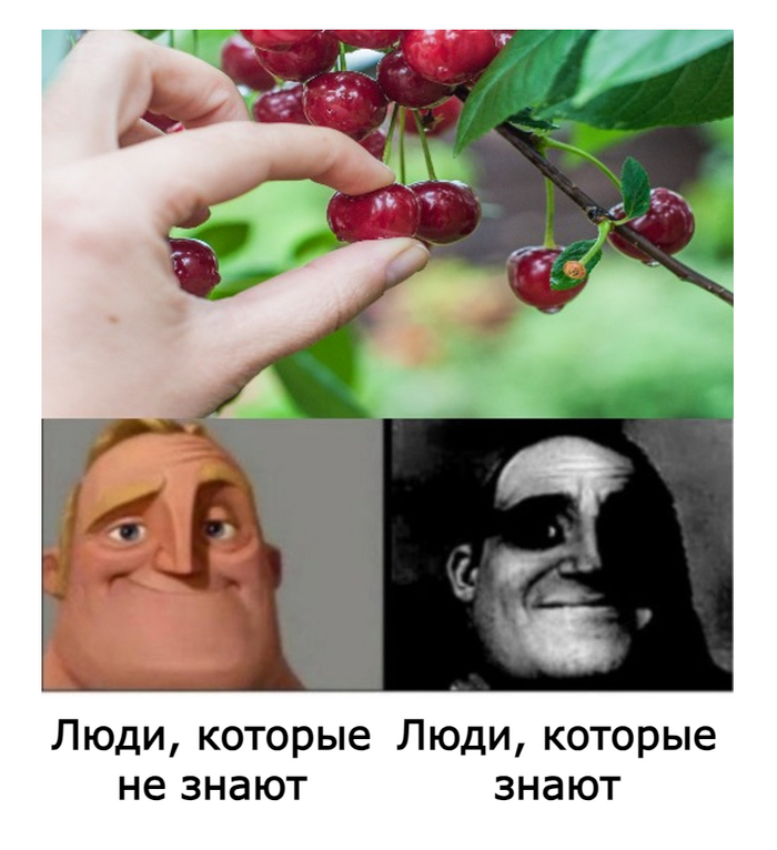 Проклятие знания