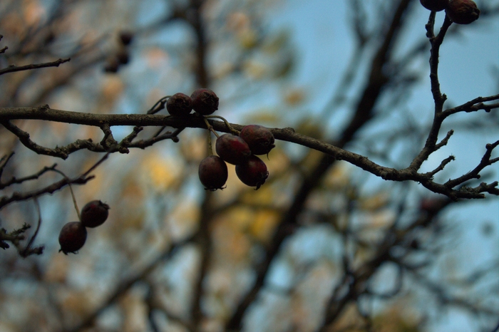 ��������.