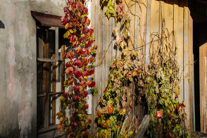 В Иваново ничего интересного, что посмотреть не найдено, едем в Суздаль