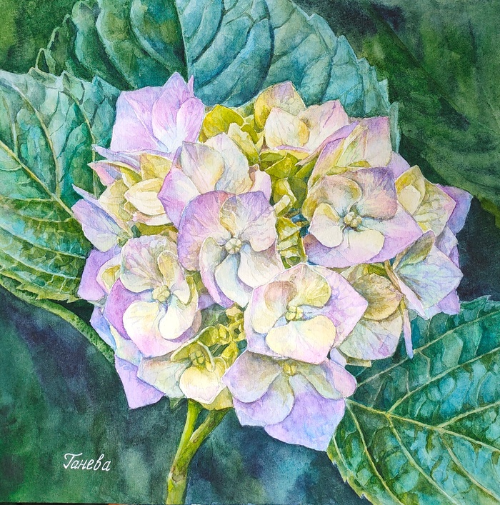 Акварель, бумага, 24.5 х 24.5 см