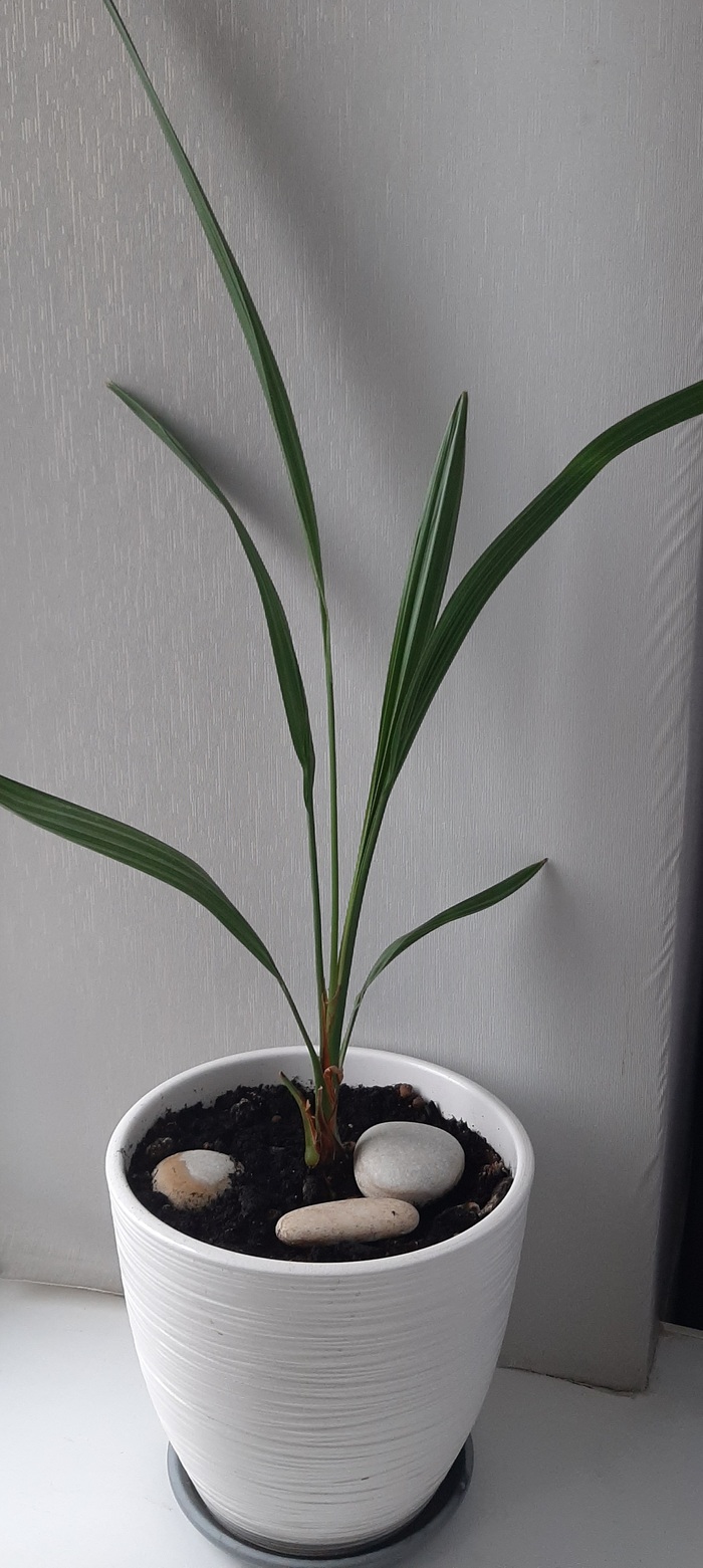  .       .        . .