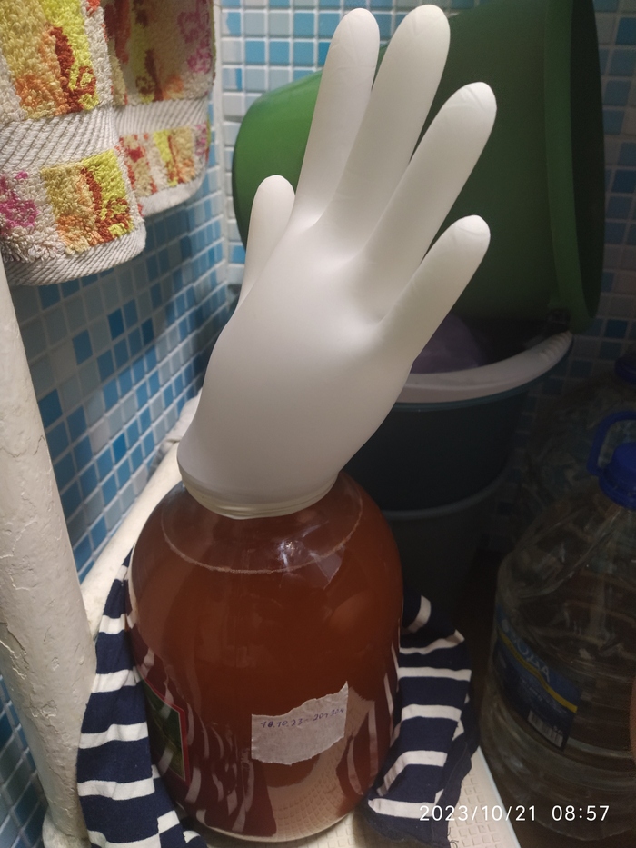 Активная фаза созревания гриба.