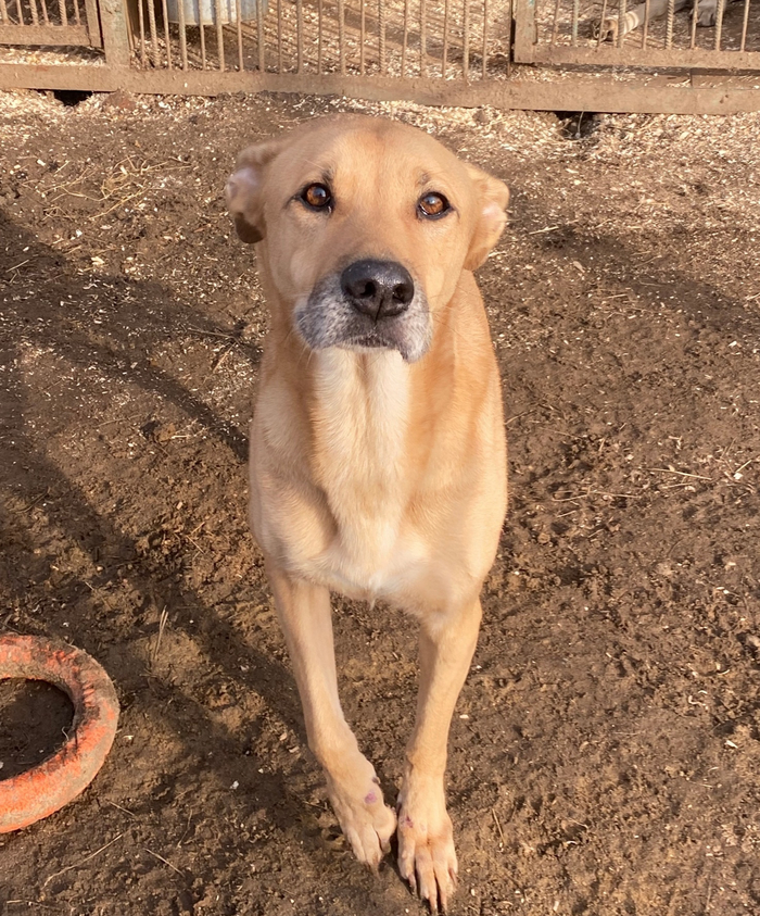 ���� ���� ���. ��������� �����������!