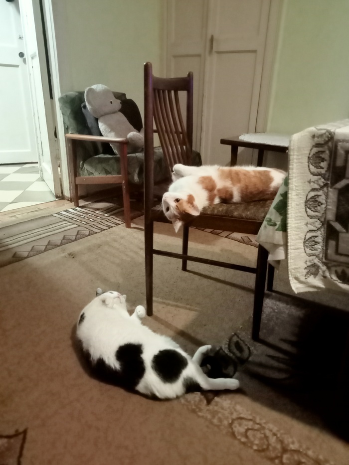 ��� ����