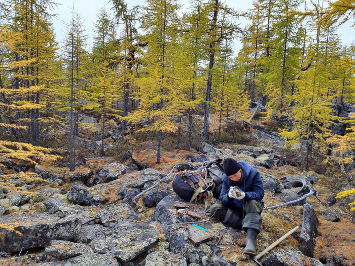  .  ()   ,  ,  ,      .     ,  