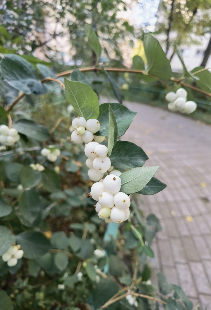  , , , , ,  