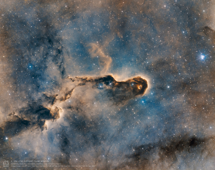  " "  IC 1396A -         IC 1396   .